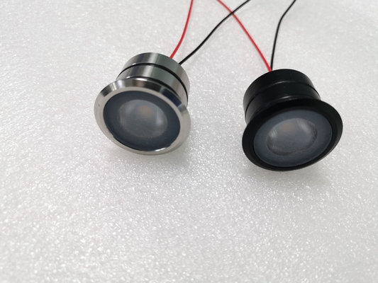 1W 316 SS Houing LED Spot Light ดํา/ทองแดง/ทองคํา ปลาย IP68 แสงใต้น้ํา