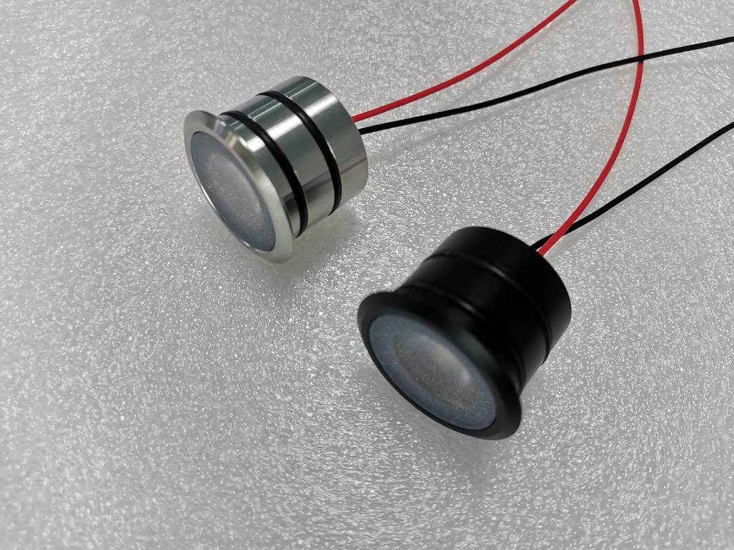 1W 316 SS Houing LED Spot Light ดํา/ทองแดง/ทองคํา ปลาย IP68 แสงใต้น้ํา